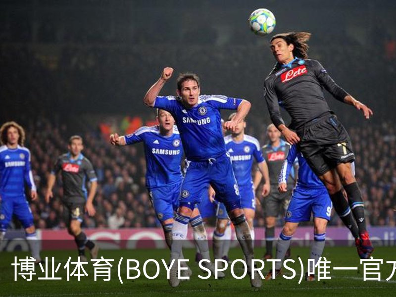 了解博业体育(BOYE SPORTS)唯一官方网站